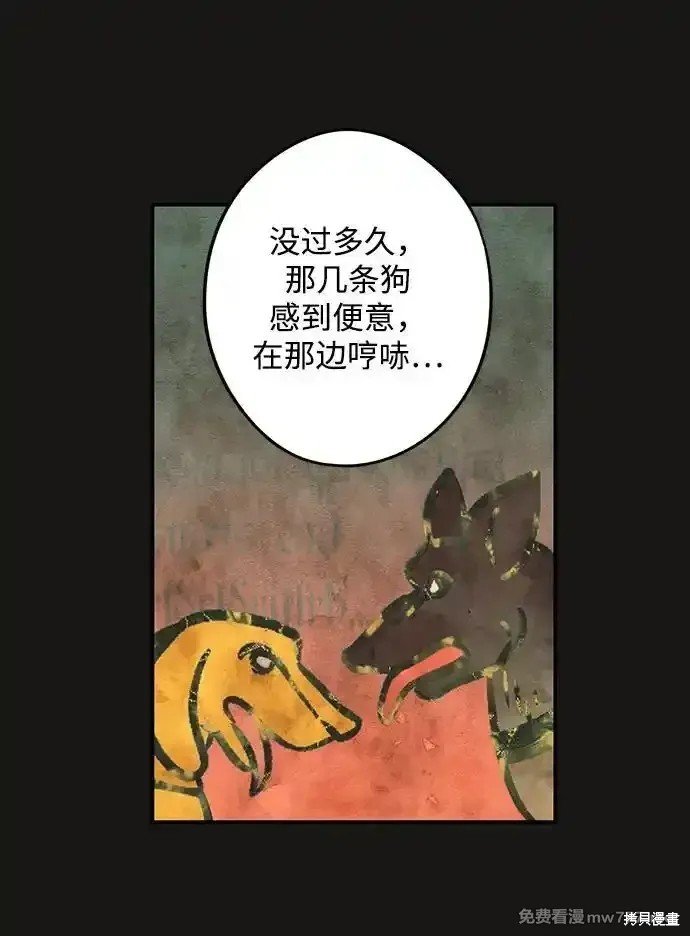 第2季17话