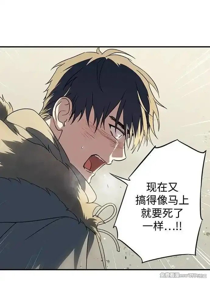 第2季31话