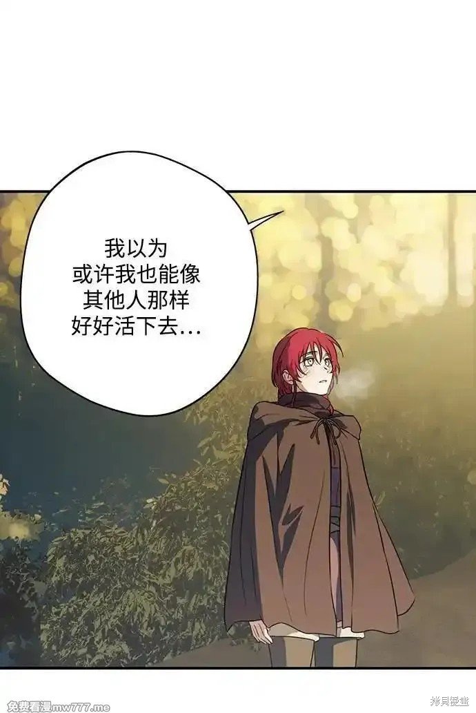 第2季31话