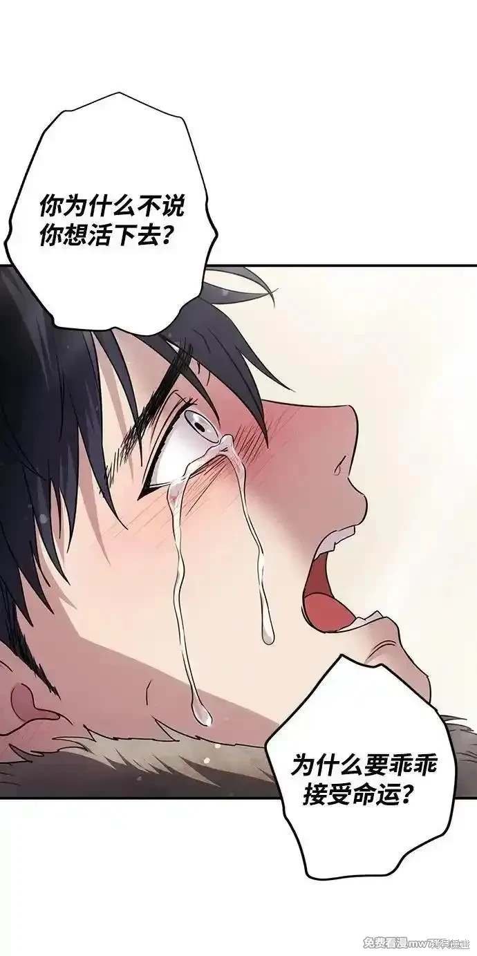 第2季43话