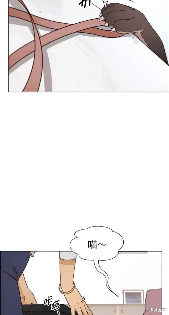 第119话