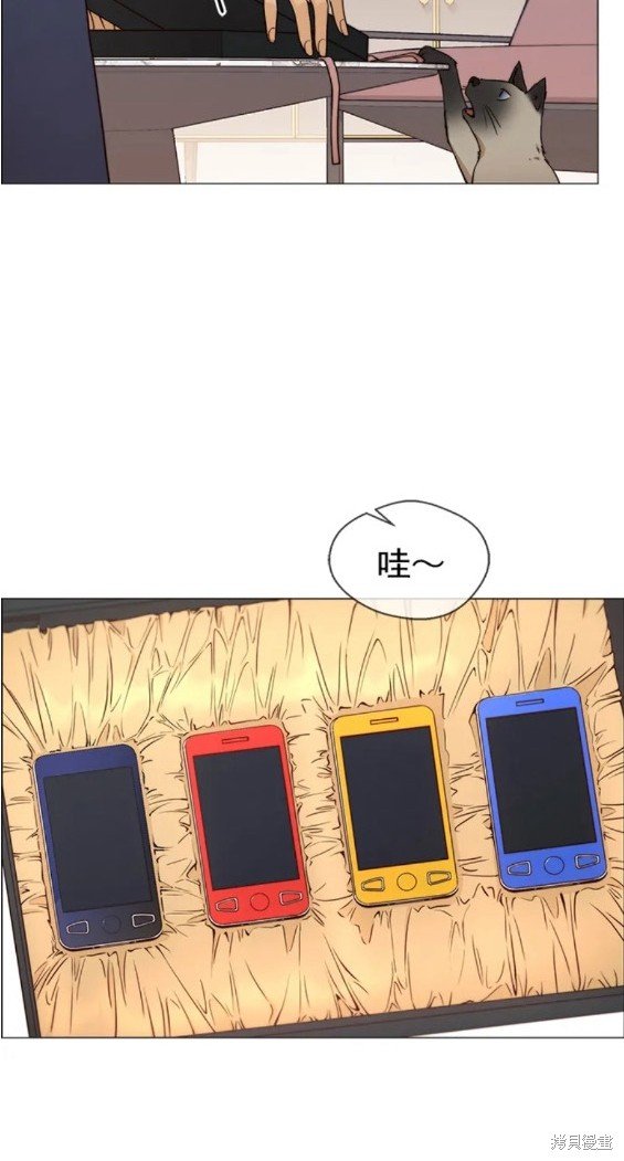第119话