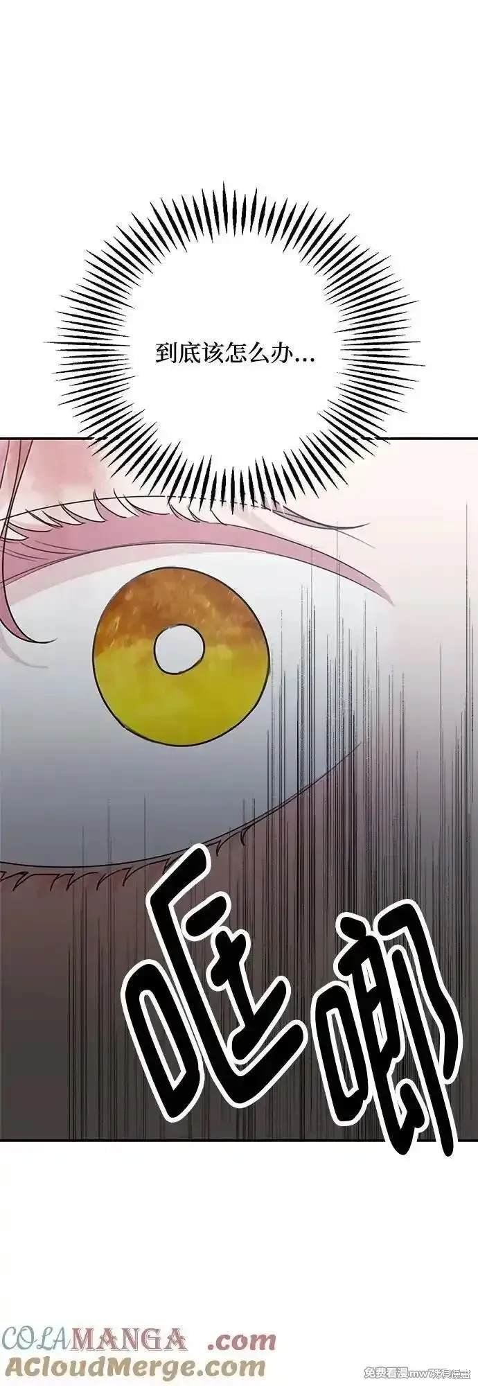 第116话
