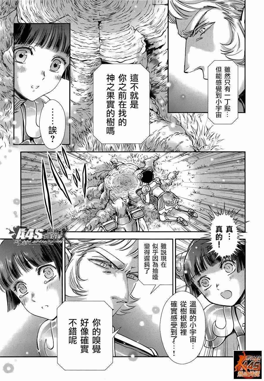 第41话 彗星雷帕鲁斯
