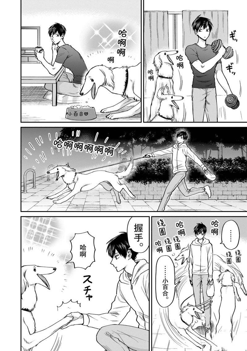 连载37话