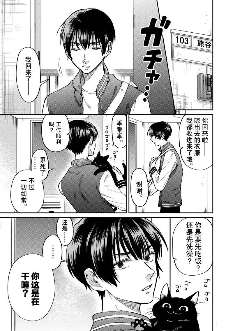 连载41话