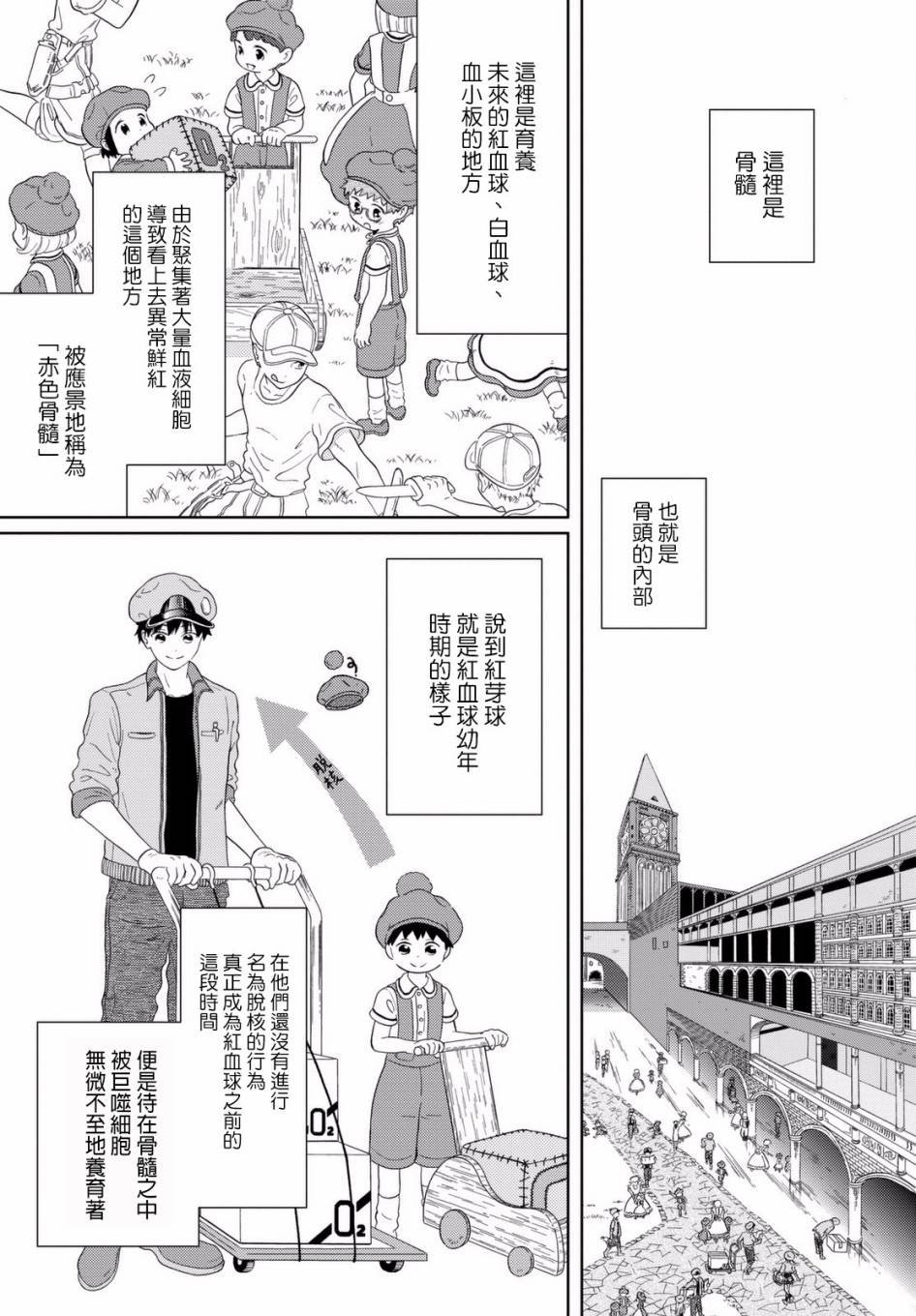 第1话 渐渐长大的红血球