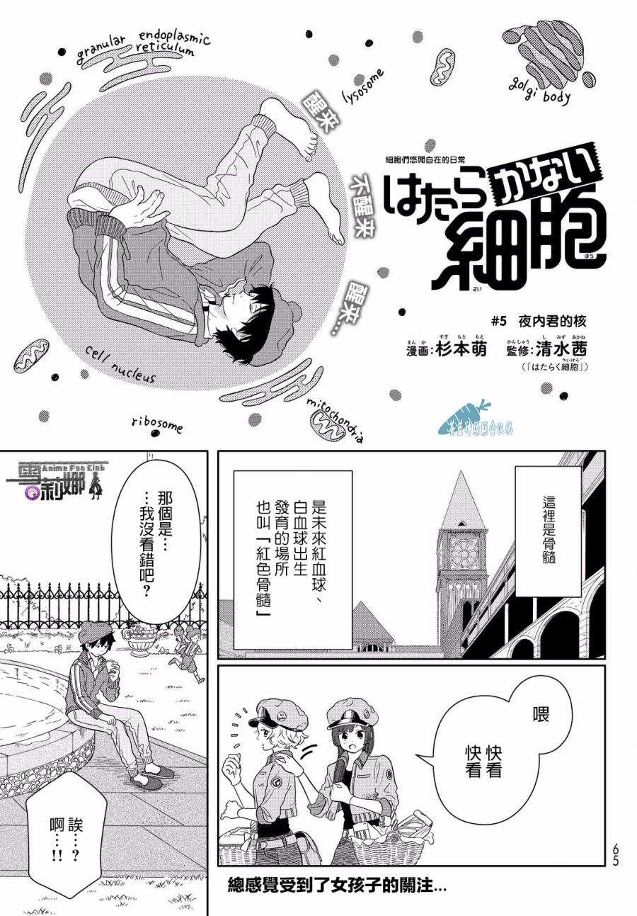 第5话 细胞们悠闲自在的日常