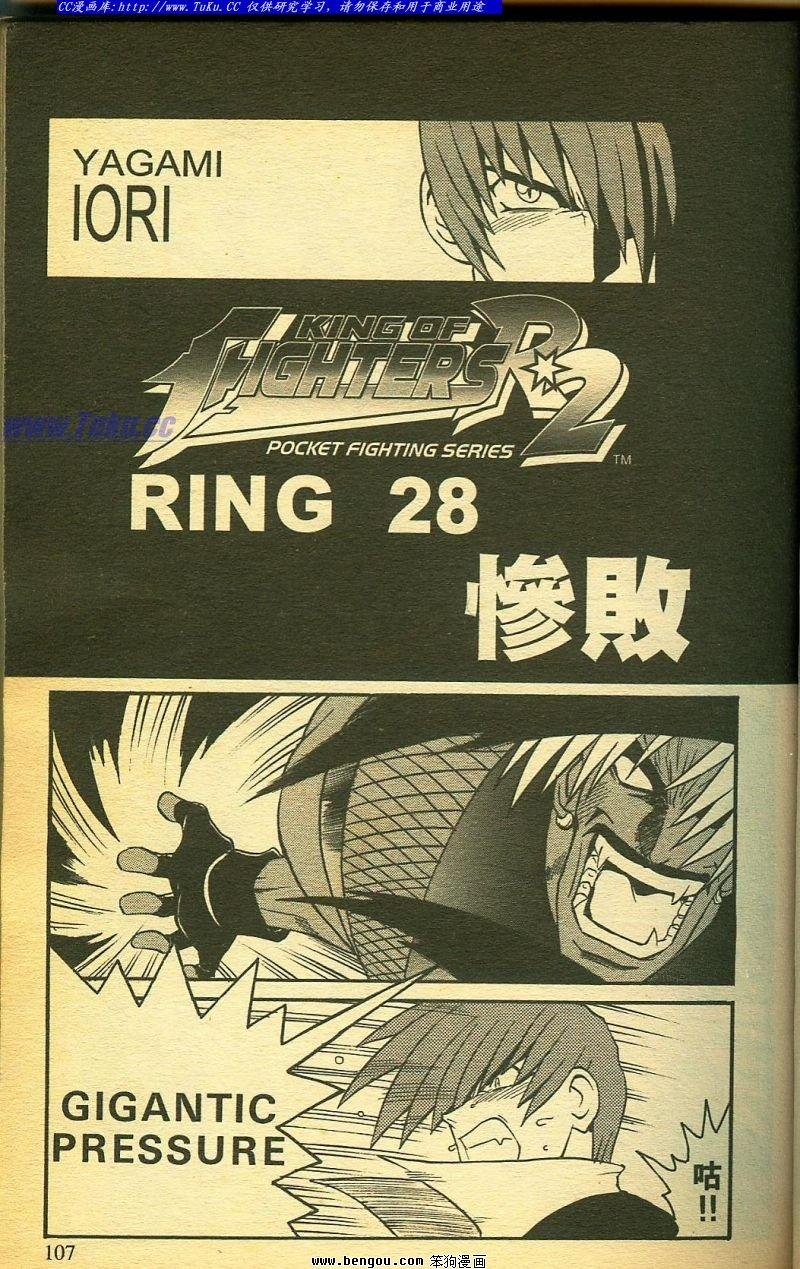 第28卷