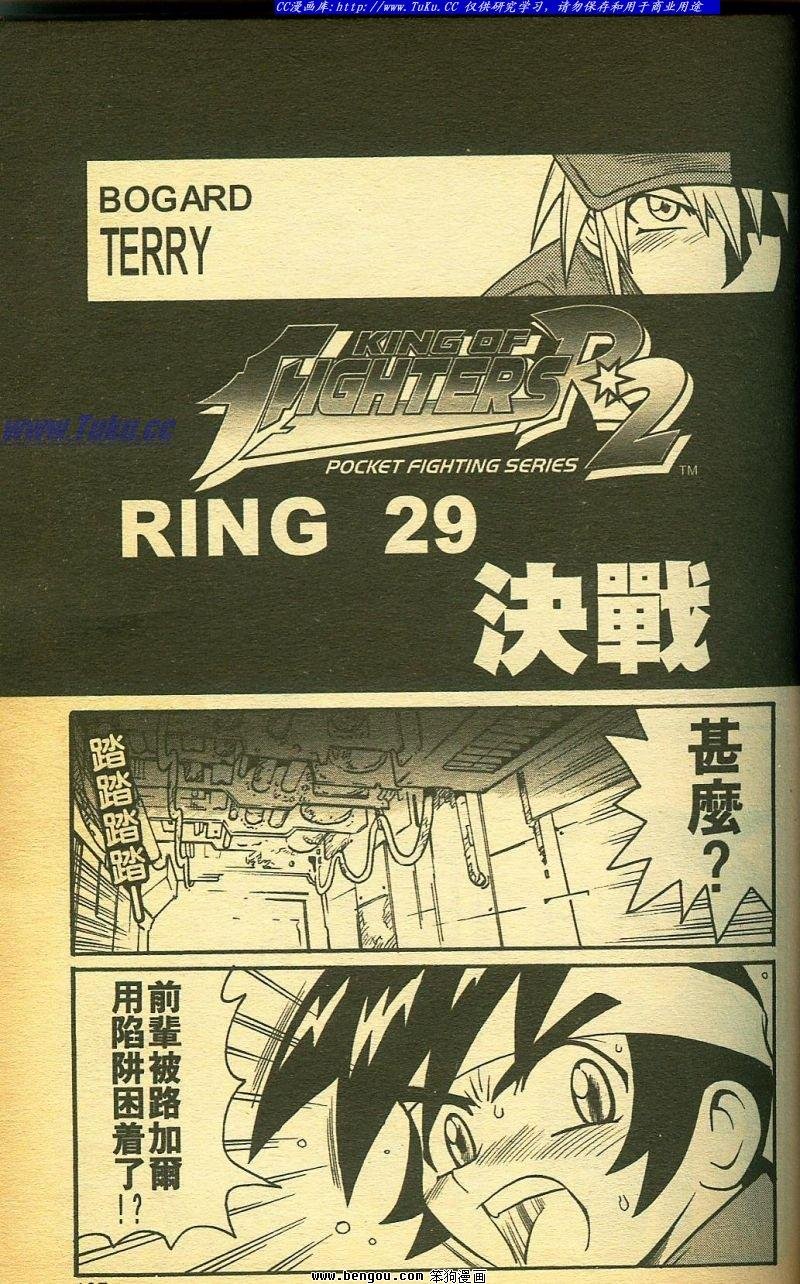 第29卷