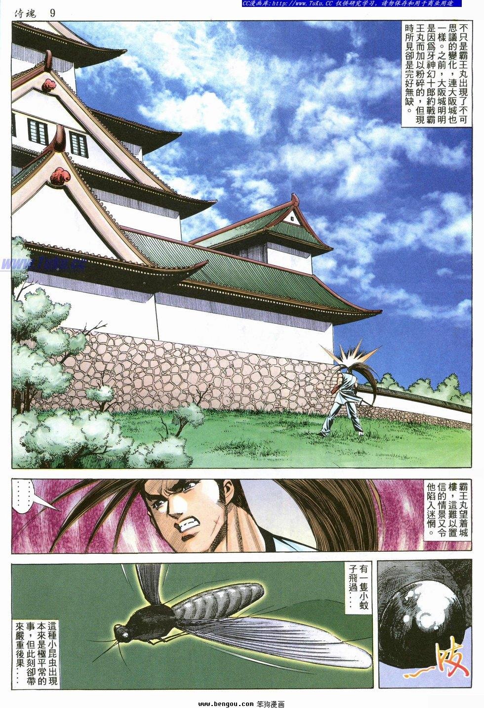 第29卷