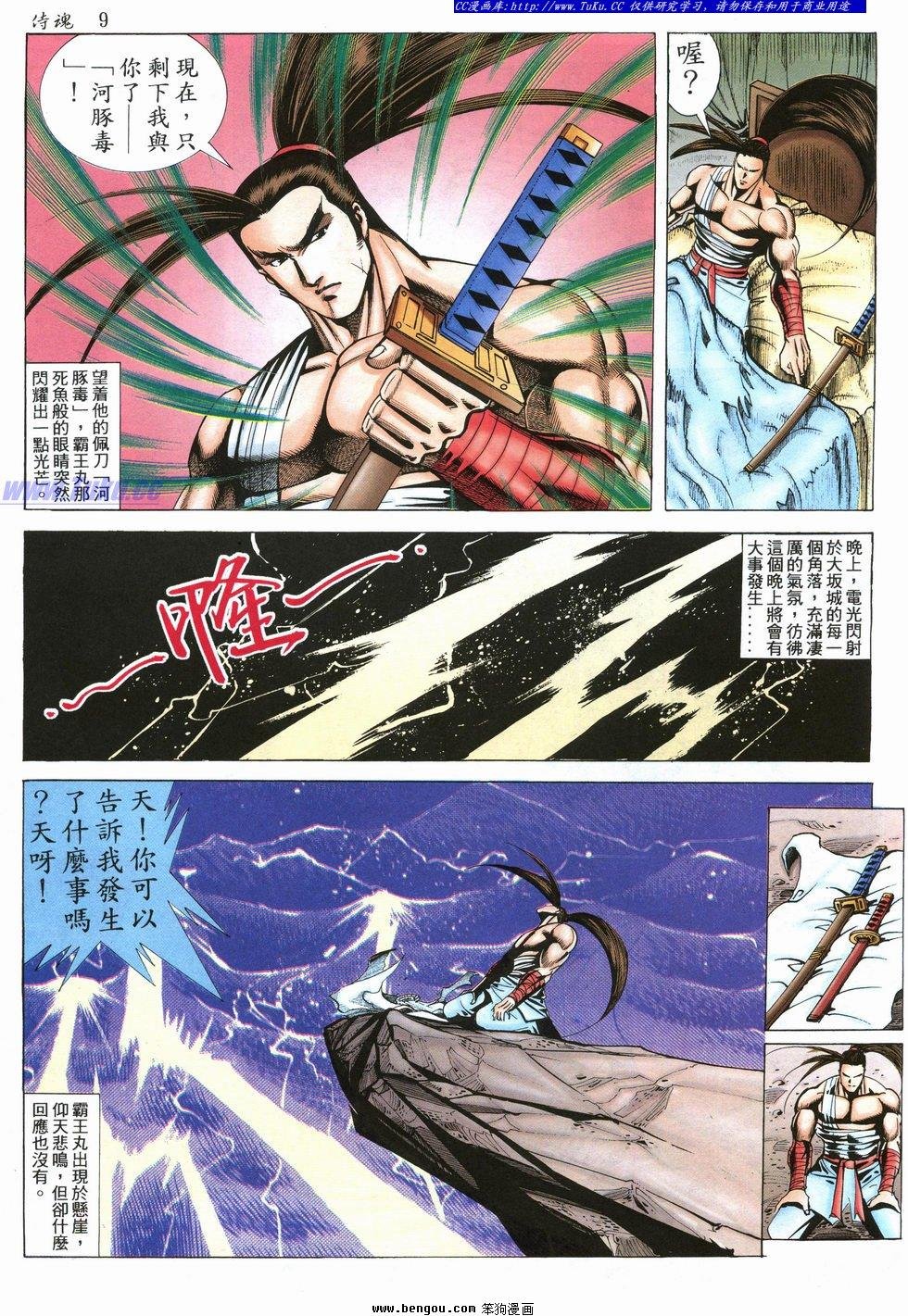 第31卷