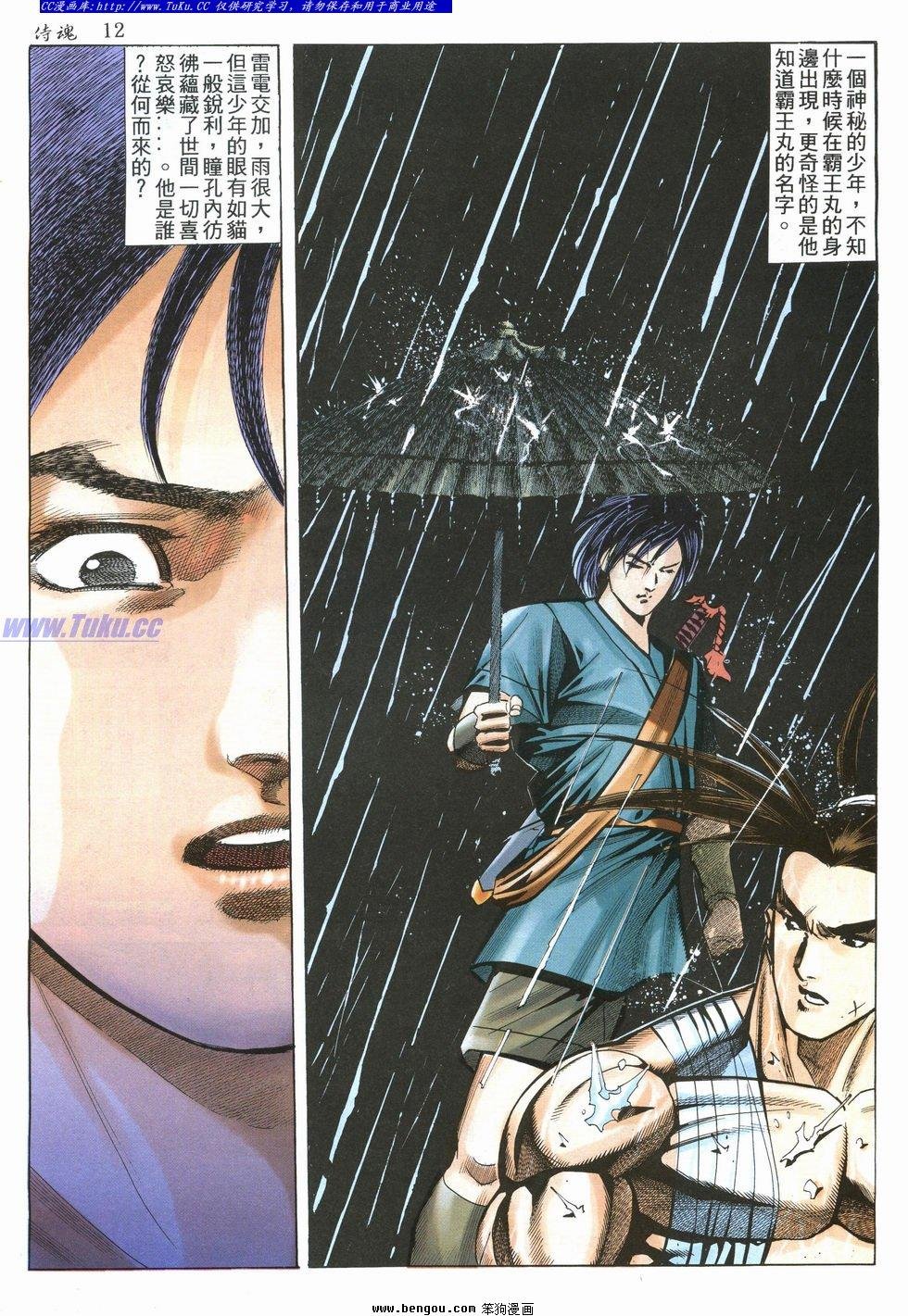 第31卷