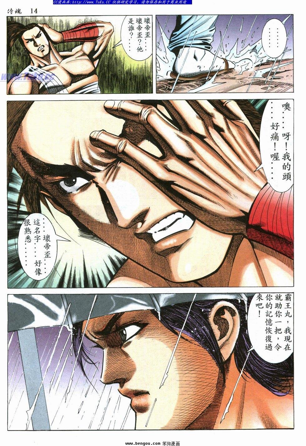 第31卷