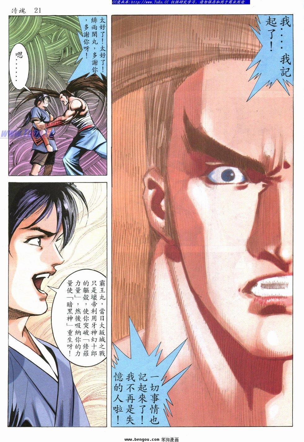 第31卷