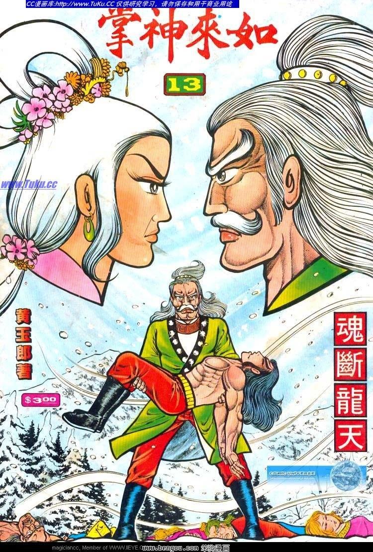 第13卷