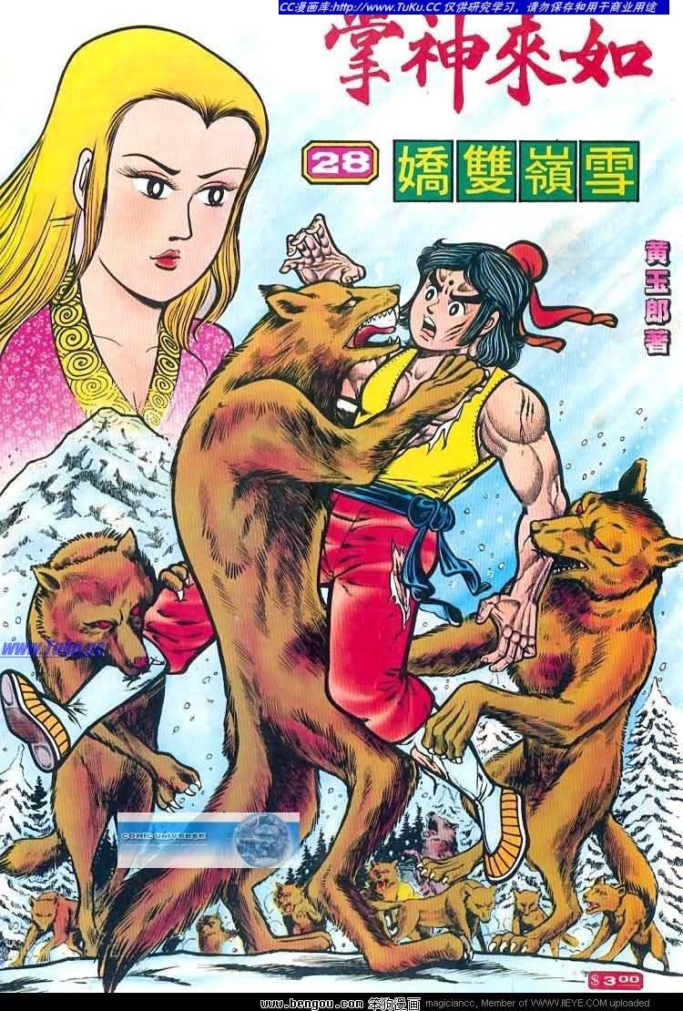 第28卷