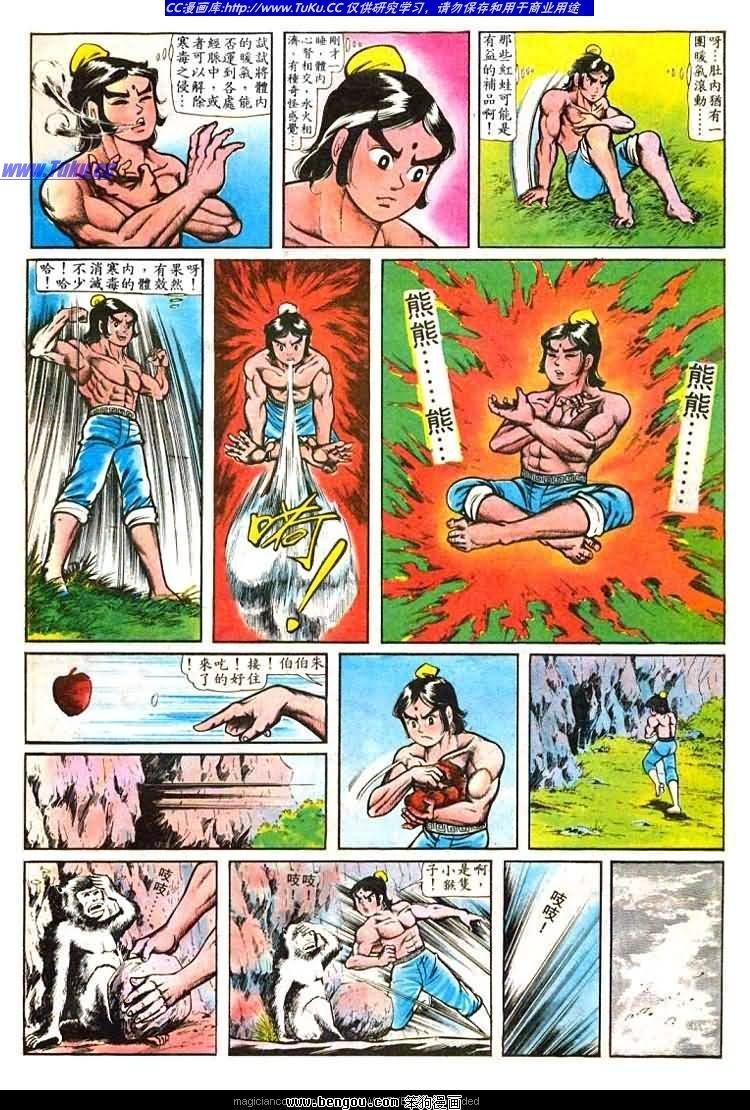 第31卷