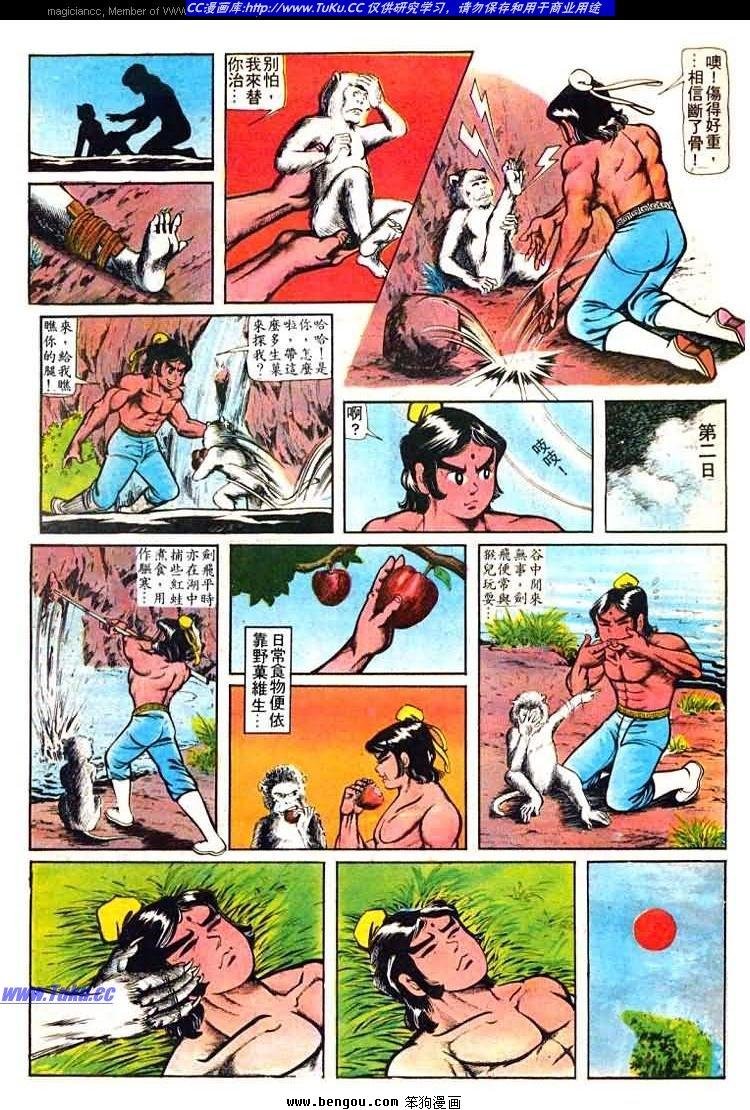 第31卷