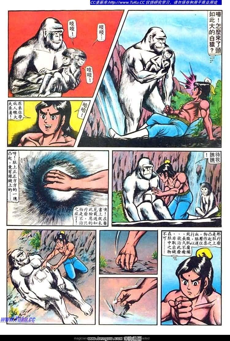 第31卷
