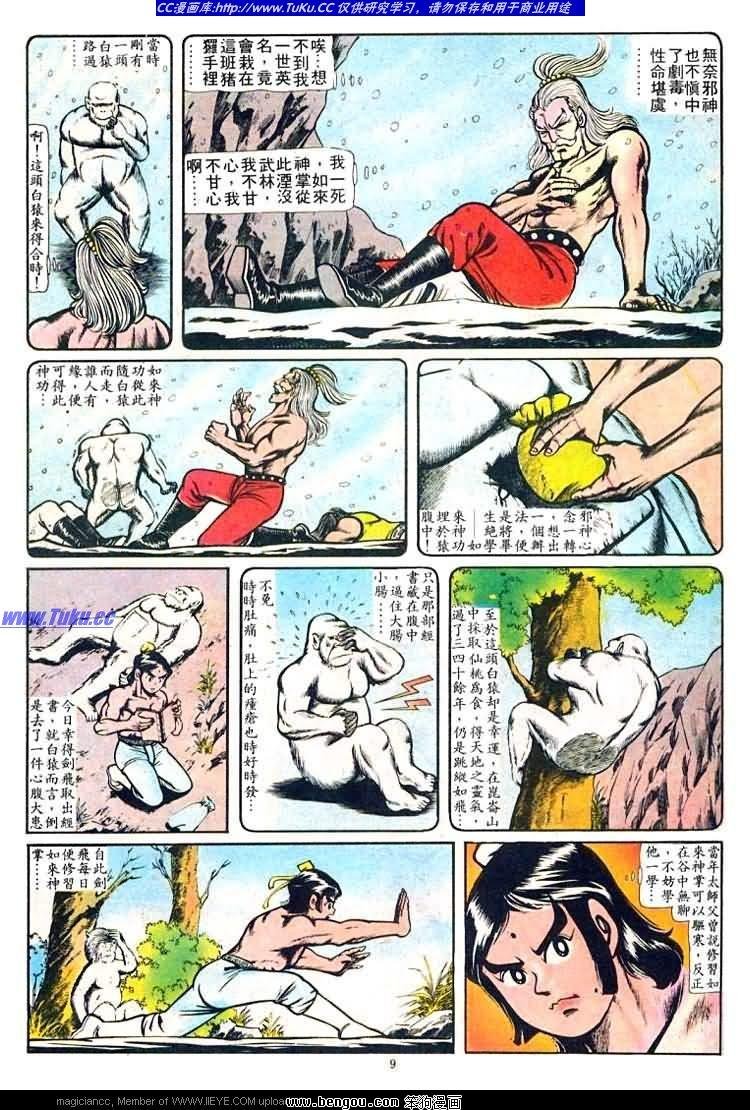 第31卷