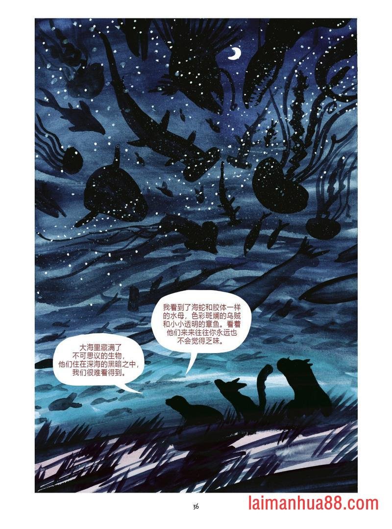 第04卷