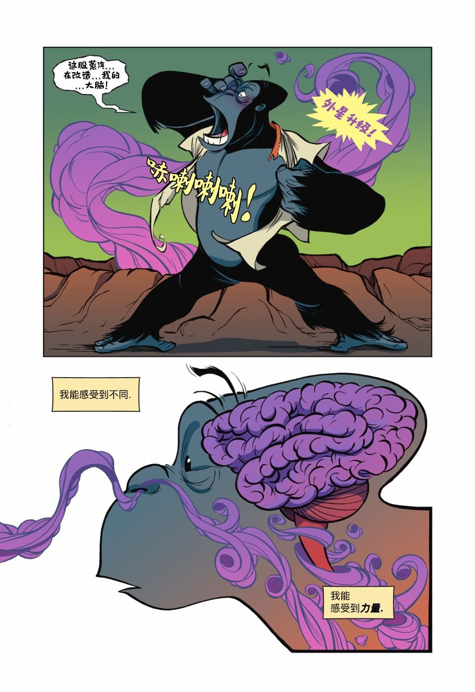 第04卷
