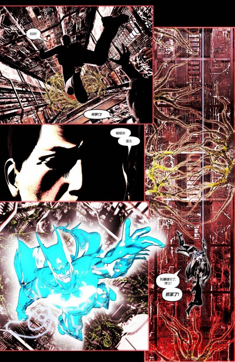第08卷