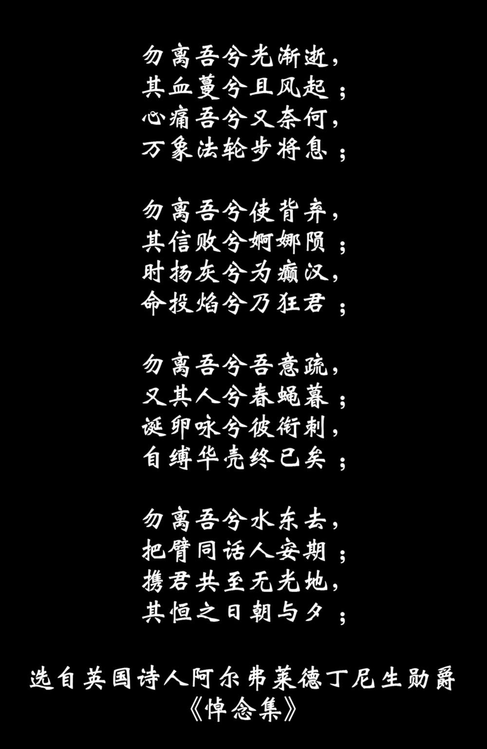 第41卷