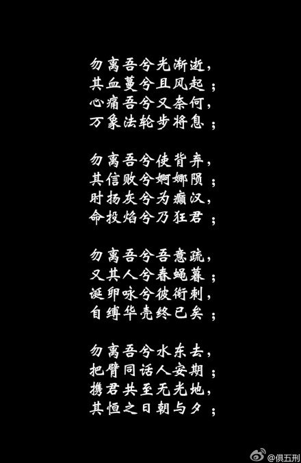 第41卷