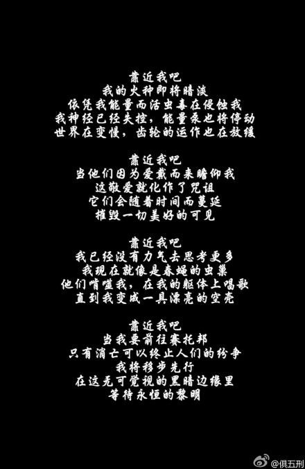 第41卷