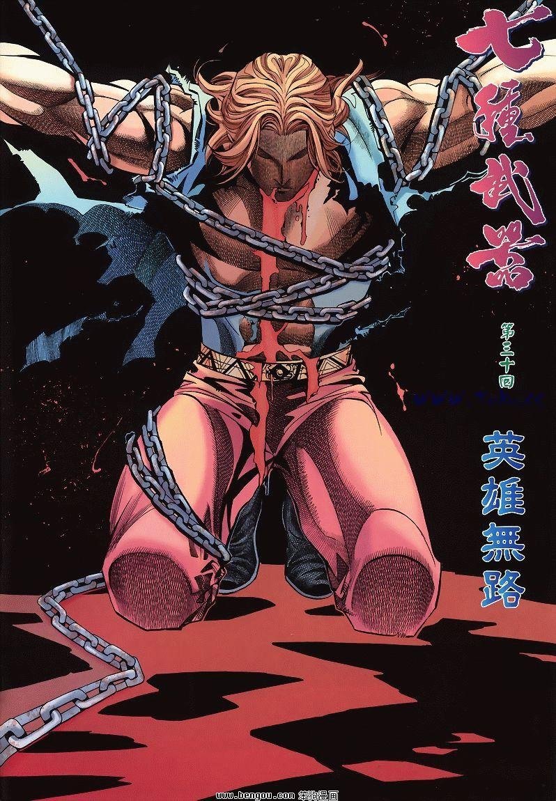 第30卷