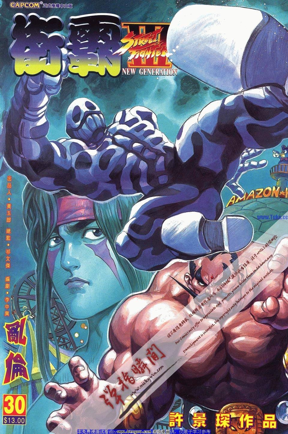 第30卷