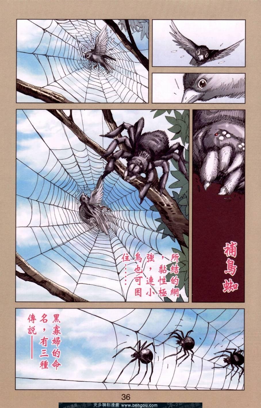第146卷