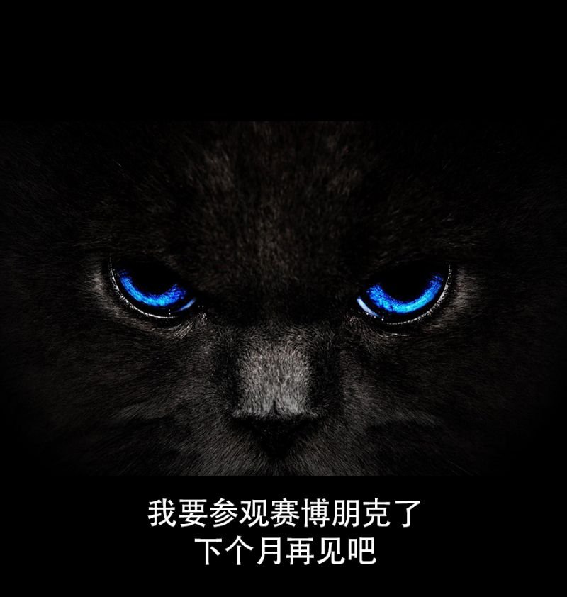 新周边