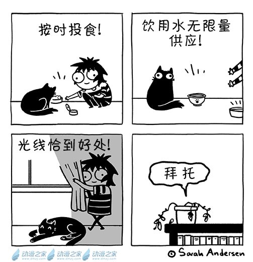 第156话