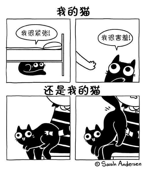 第167话