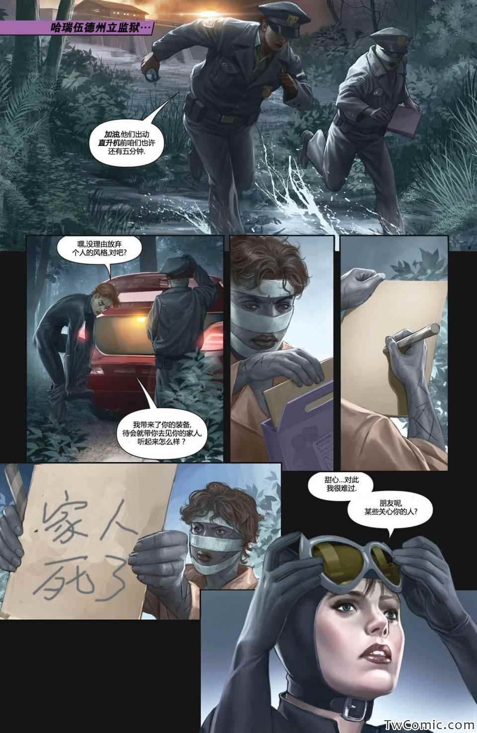 年刊：蝙蝠、猫和猫头鹰