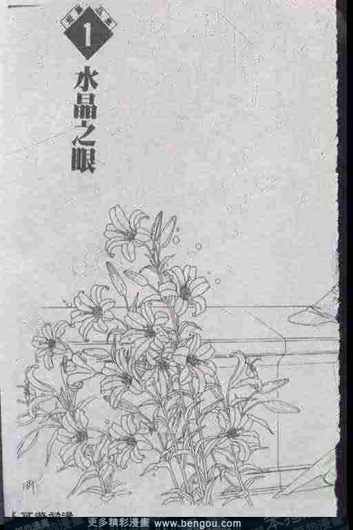 第13卷