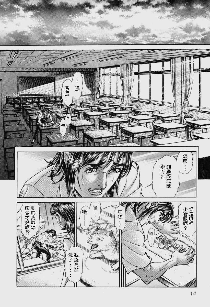 第11卷