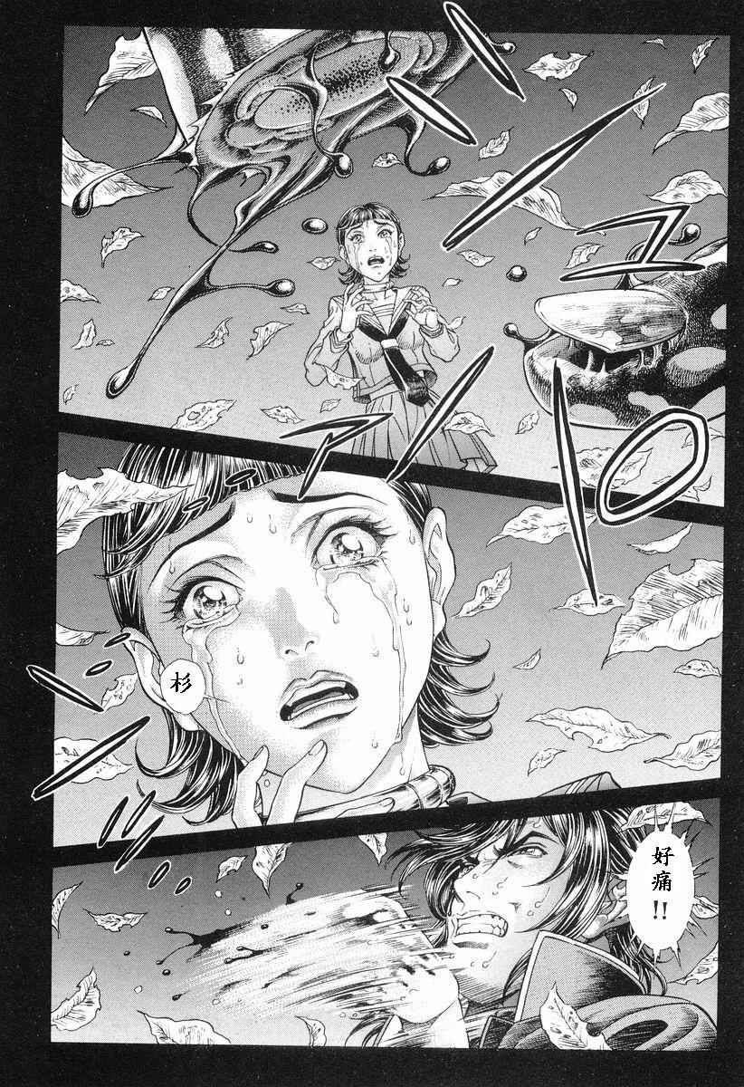 第11卷