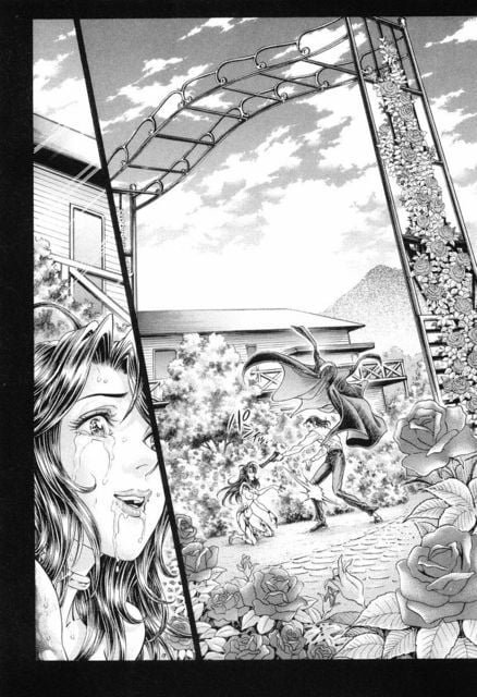 第13卷
