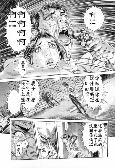 第13卷