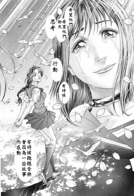 第13卷