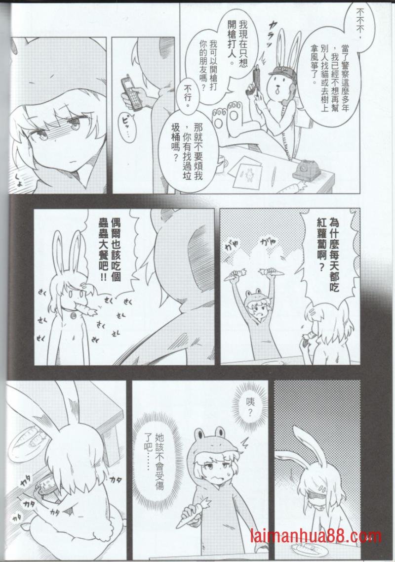 第29卷