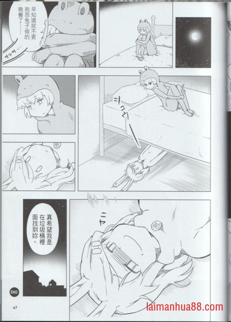 第29卷