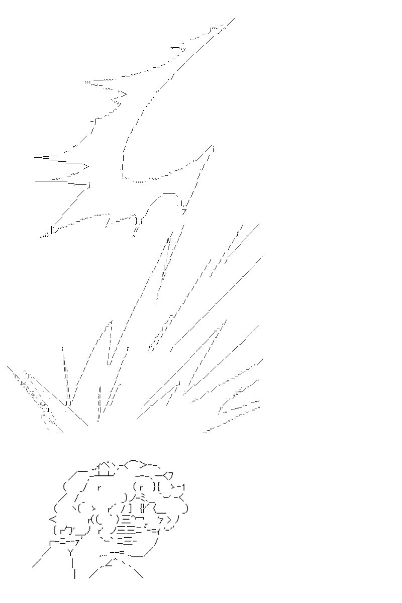 第13回