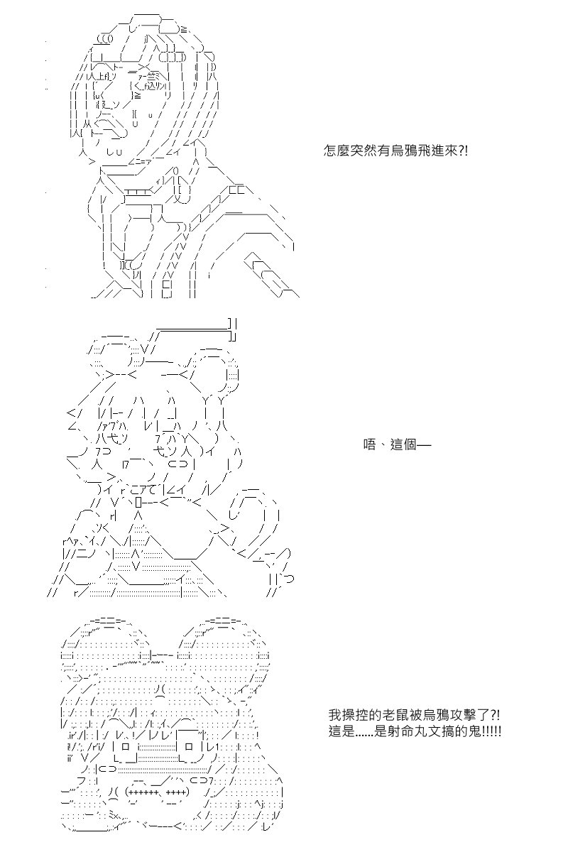 第55回