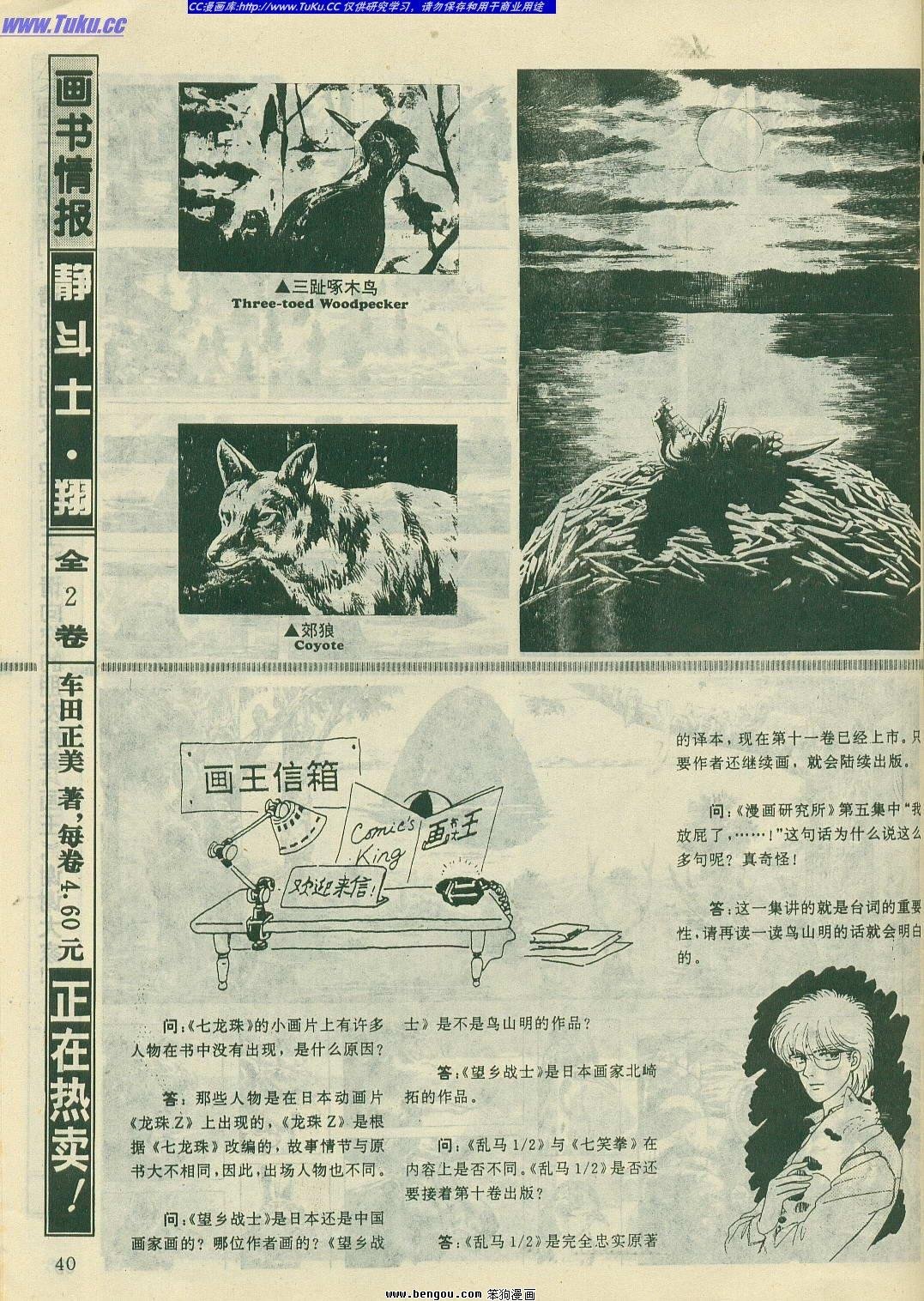 第13卷