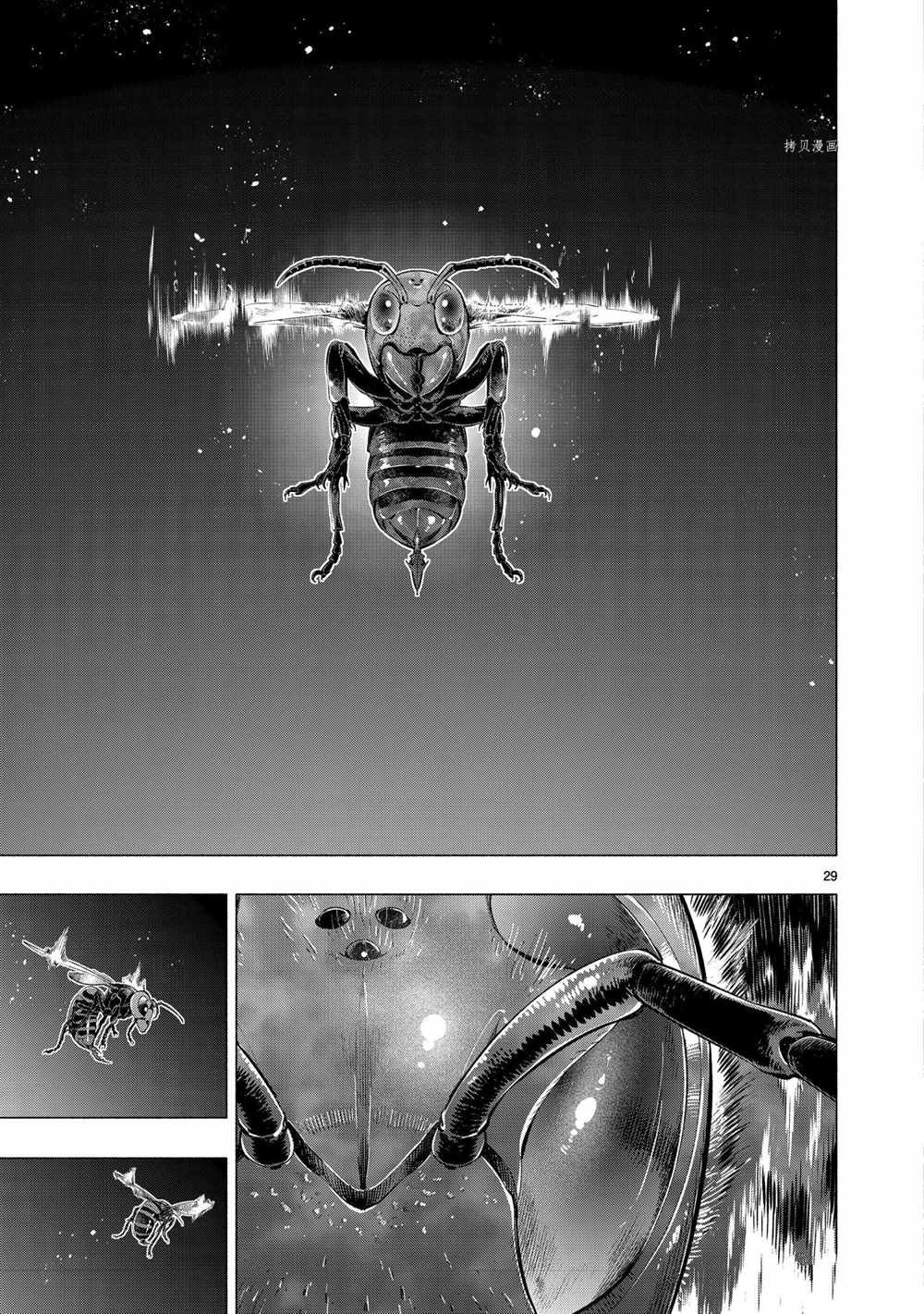 第41话 试看版